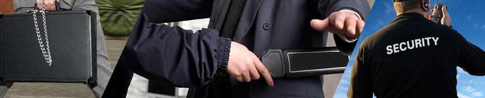   Услуги -   Физическая охрана